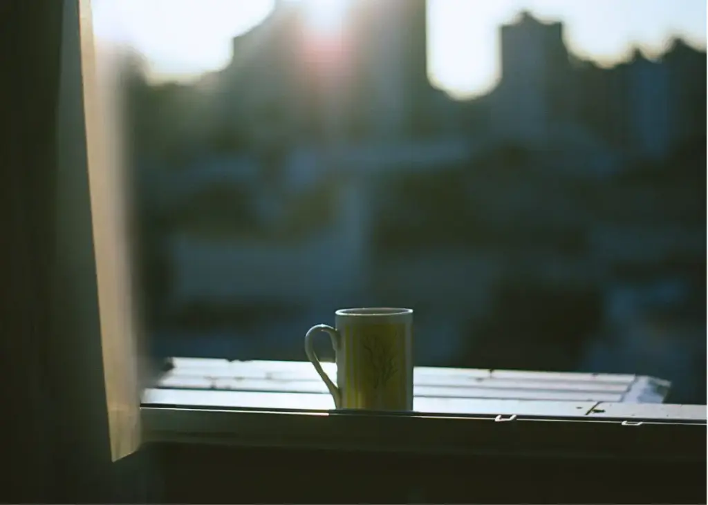 Quiet window view with a coffee mug symbolizing emotional clarity and healing during addiction recovery treatment away from daily triggers
