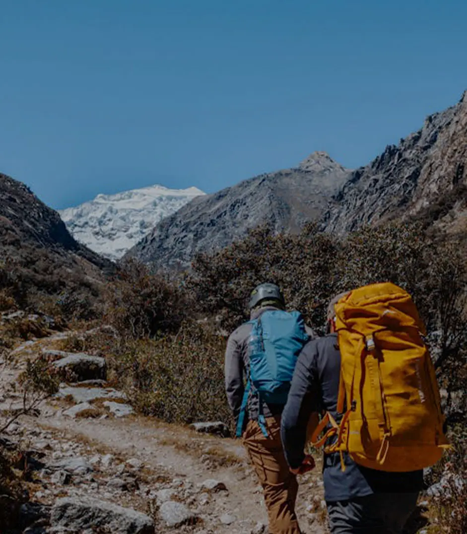 Individuals hiking scenic Runyon Canyon trails as part of outdoor wellness and holistic recovery activities in Los Angeles