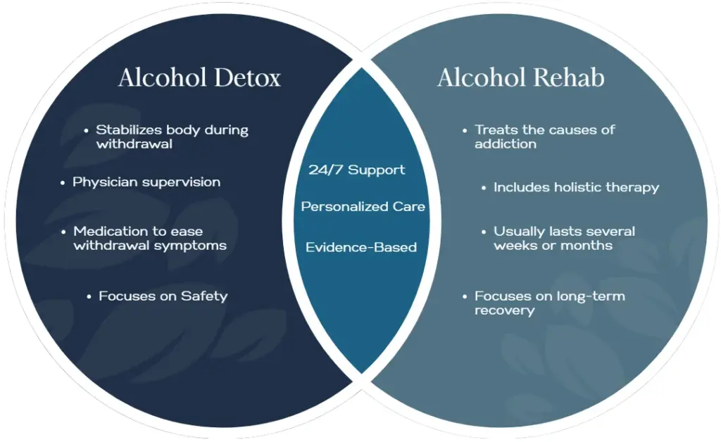 infographic explaining alcohol detox in comparison to alcohol rehab treatment